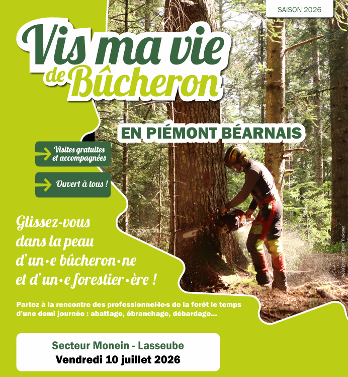 Vis ma Vie de Bûcheron Béarn